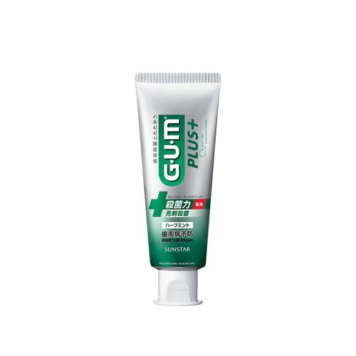 GUM 검 플러스 덴탈 페이스트 치약 2종류